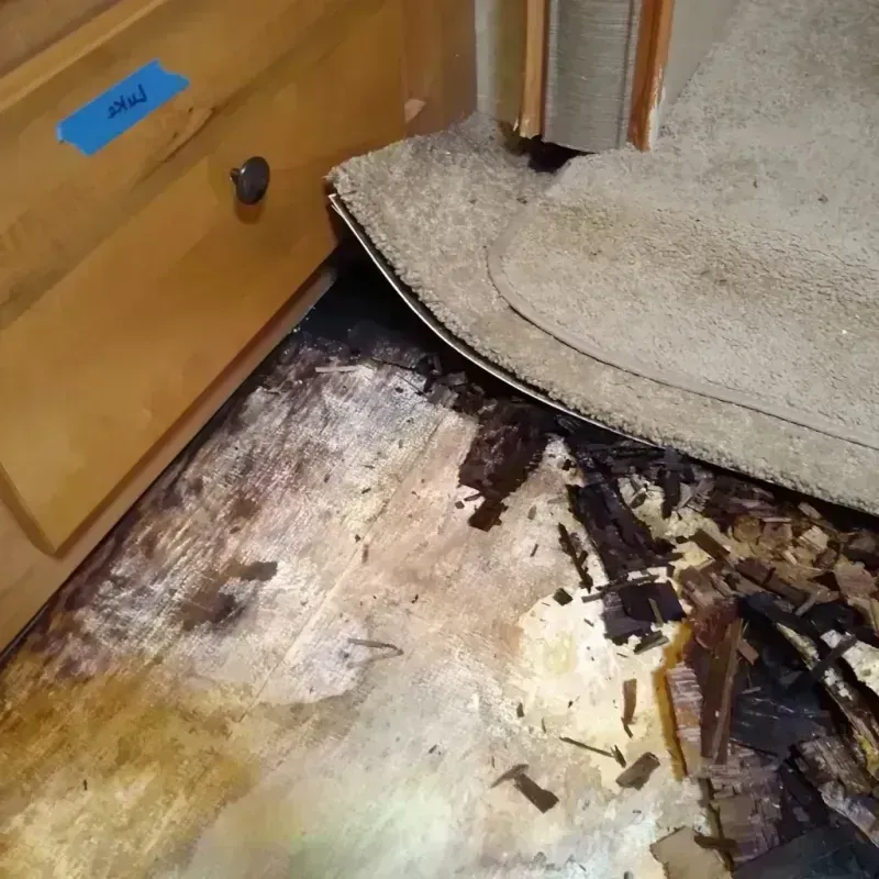 Wood Floor Water Damage in Hancock, MD